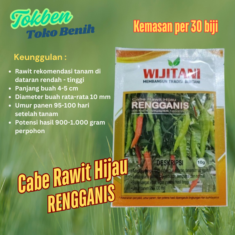 30 biji - Benih Cabe Rawit Hijau Rengganis Panen 95-100 HST