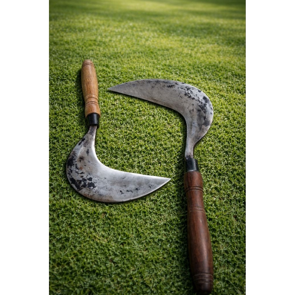 Arit Sabit Rumput Baja Per - Tajam, Ergonomis, Multifungsi