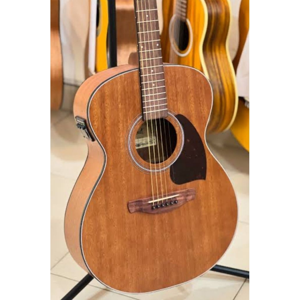 Gitar Grande FW-401E NS