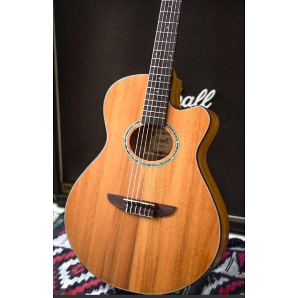 Gitar Grande GIC-40K NS