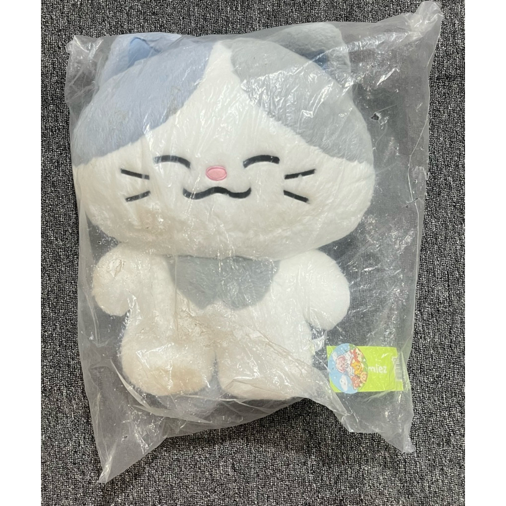 [READY STOCK] BIG FLAT NCT DREAM X LINE FRIENDS LEMYO CHENLE DOLL BONEKA 40CM FULLSET OFFICIAL MURAH
