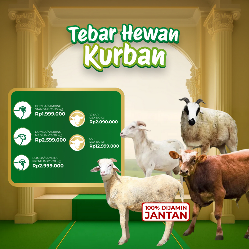 Kurban Jantan Dompet Dhuafa - Sapi Domba Kambing