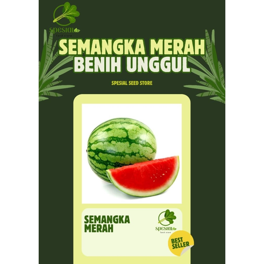 50 biji benih semangka merah