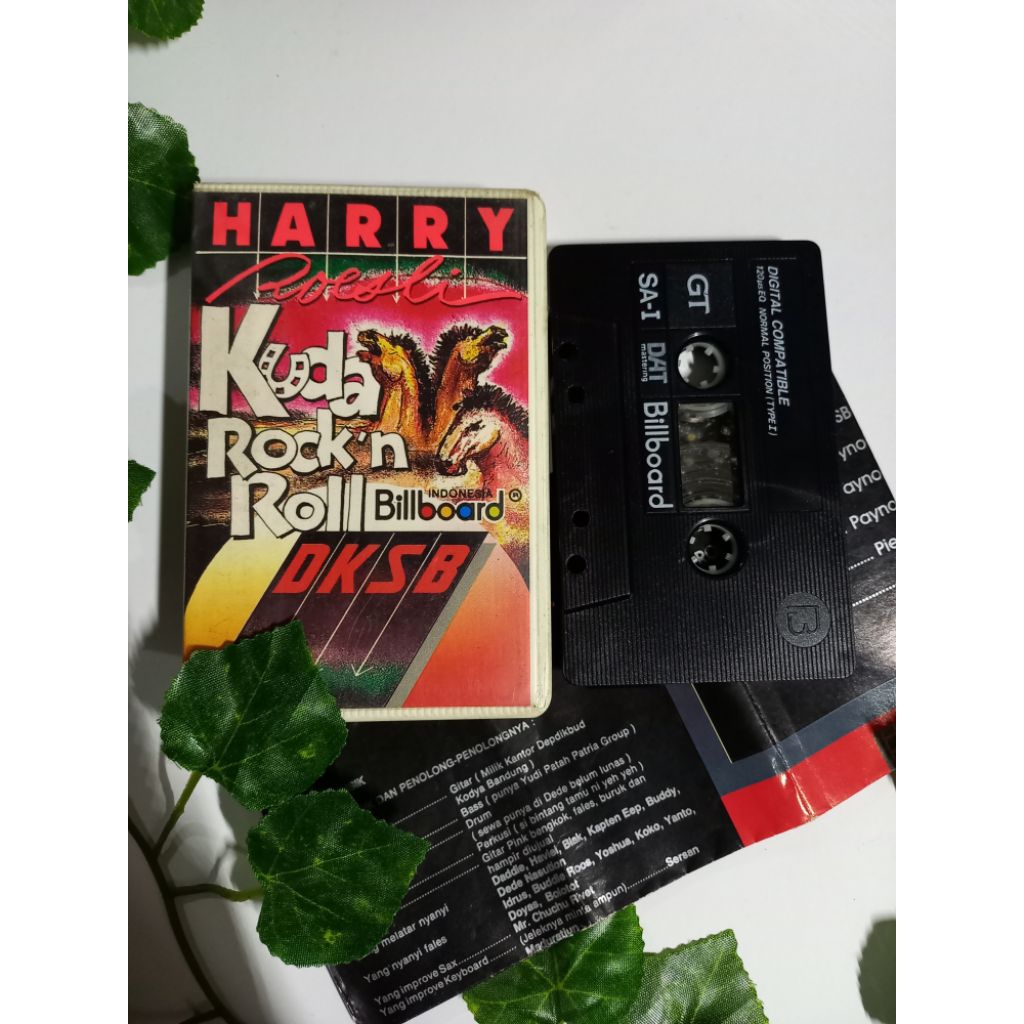KASET PITA HARRY ROESLI / KUDA ROCK'N ROLL