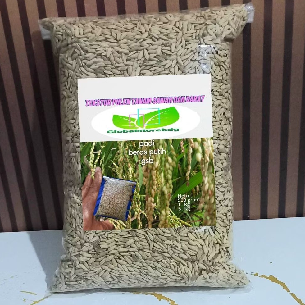 Kemasan 5 kg Bibit padi beras putih tekstur pulen dan khas rasa