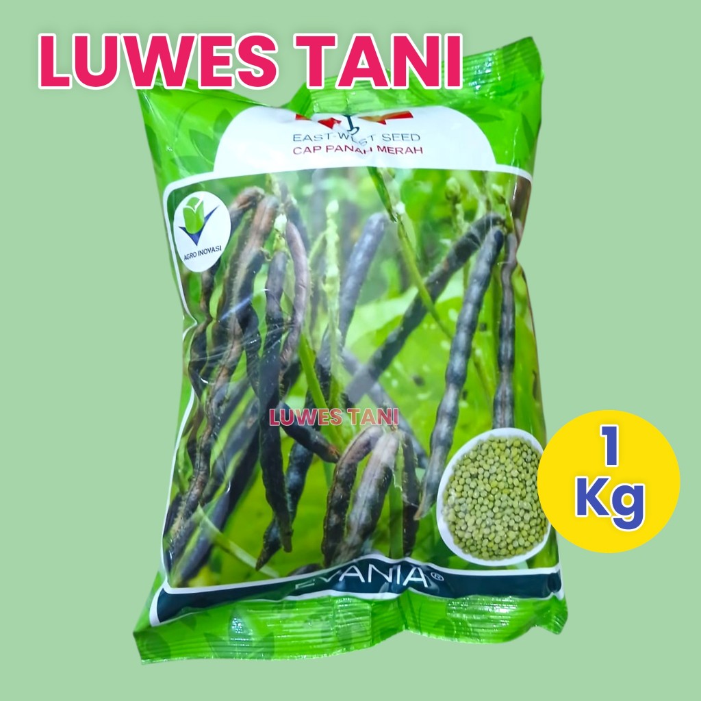 Benih kacang hijau EVANIA 1kg cap panah merah (kemasan 1kg) kacang ijo