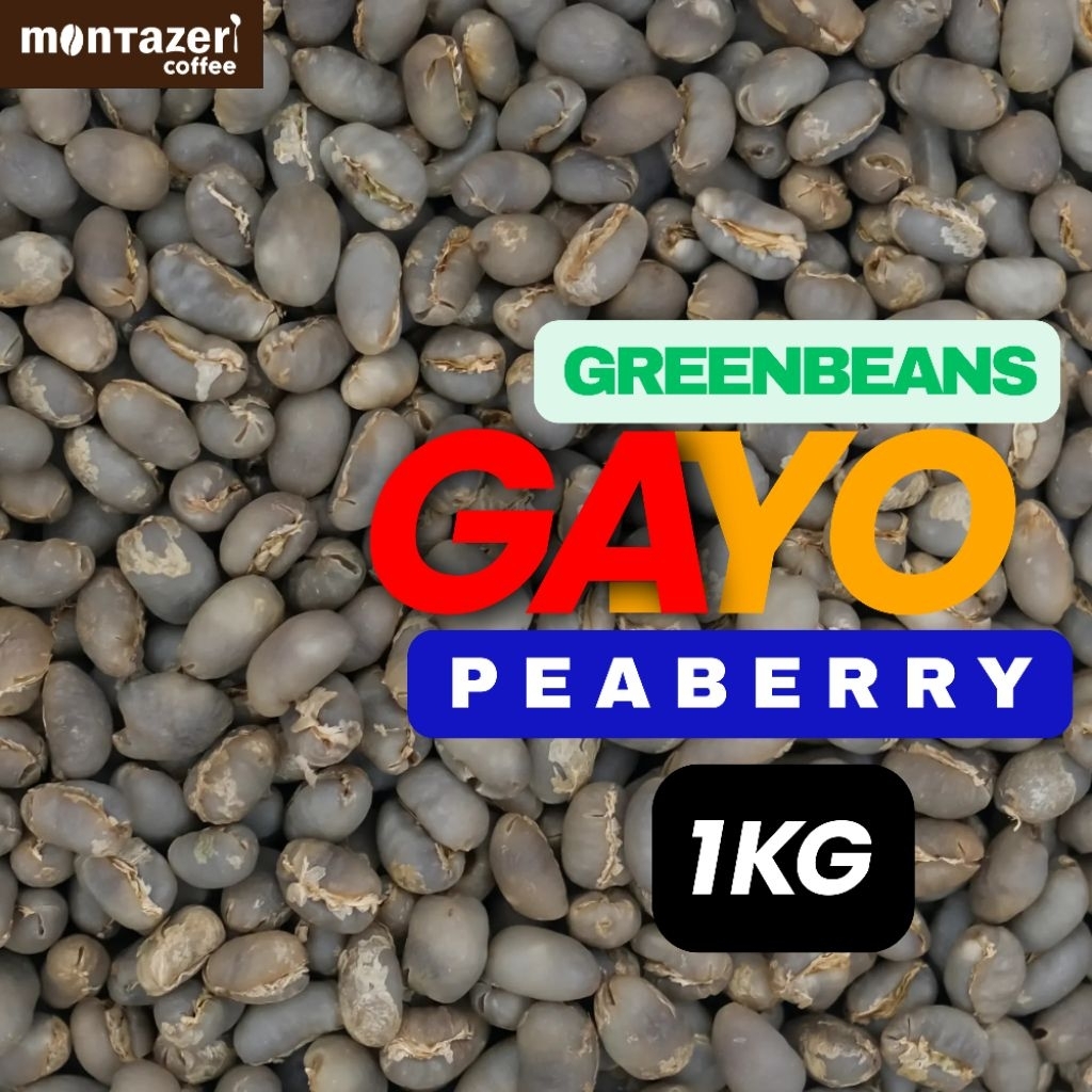 Kopi Arabika Gayo Peaberry 1kg Biji Kopi Mentah Green Bean Coffee - Single Origin Aceh Gayo Specialt