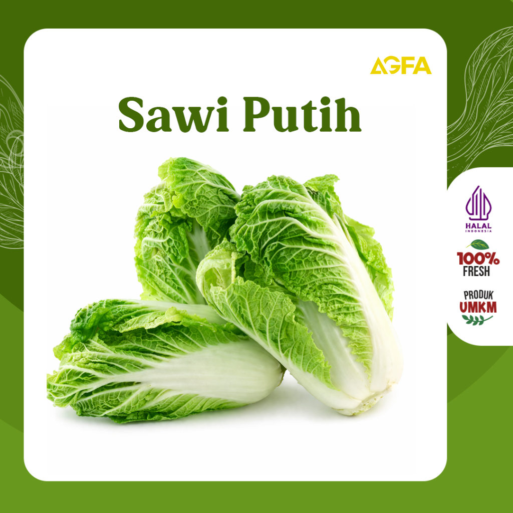 Sawi Putih / Sawi / Sayur Sawi Putih / jual Sayur Sidoarjo