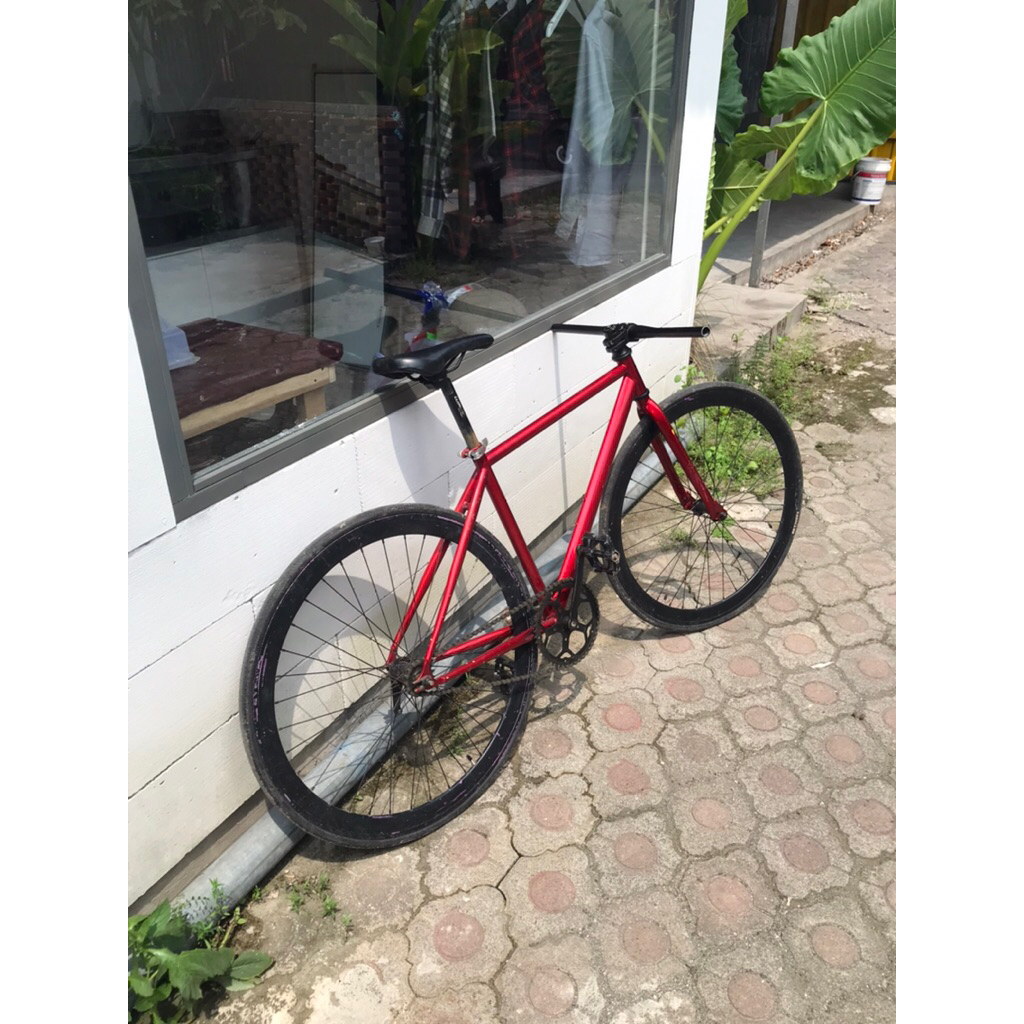 United Soloist 02