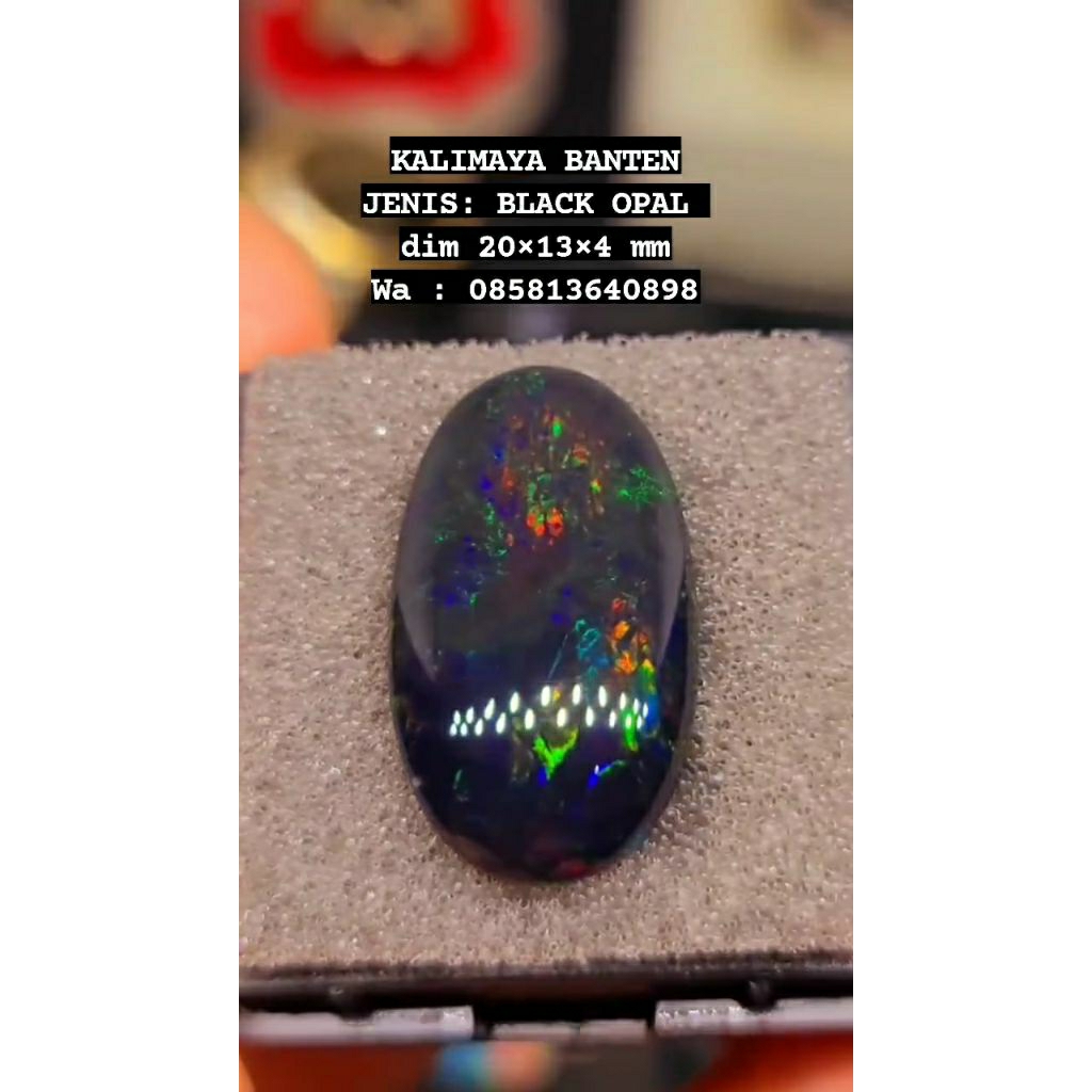 kalimaya banten BLACK OPAL 100% asli natural