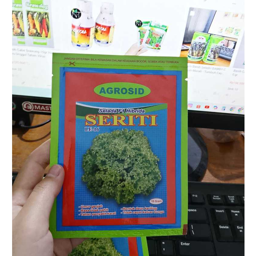 Benih Selada F1 Seriti 10gr - Rasa Tidak Pahit, Tahan Penyakit Karat