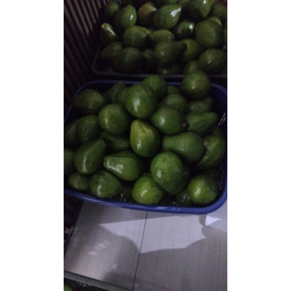 apukat