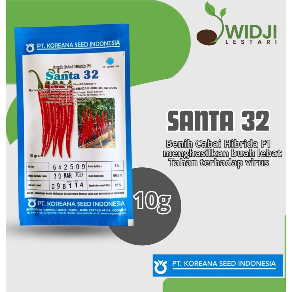 BENIH CABE BESAR SANTA 32 F1 10 GRAM