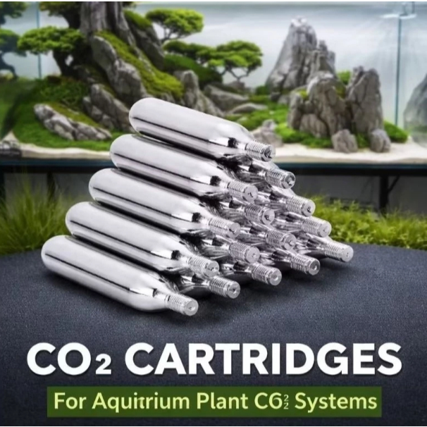 PROMO CO2 GMO Gas Co2 12 Gram Asli Untuk Aquascape Dan Soda BISA COD BAYAR DIRUMAH