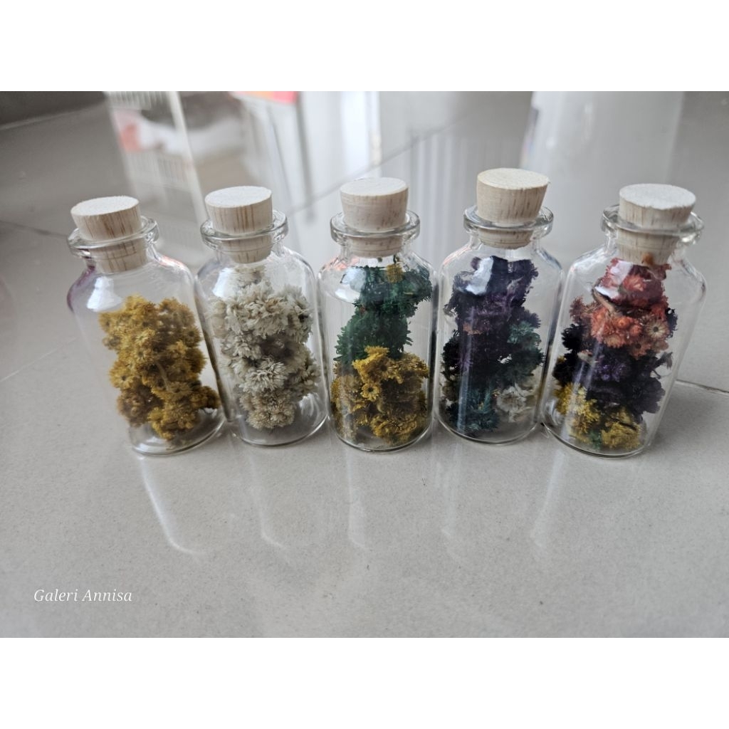 Botol Bunga Kering Edelweis || Souvenir Gantungan Kunci Keychain || Custom uk 25ml