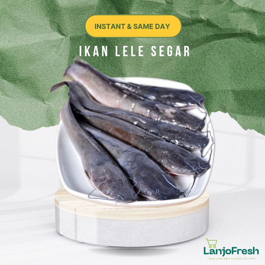 Ikan Lele Segar / Ikan lele pilihan