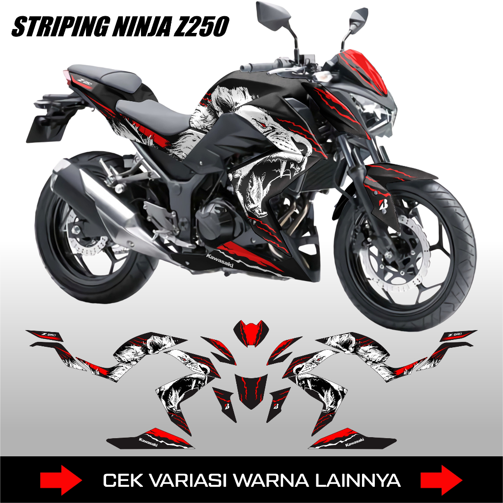 STRIPING NINJA Z250 / DECAL STICKER KAWASAKI NINJA Z 250