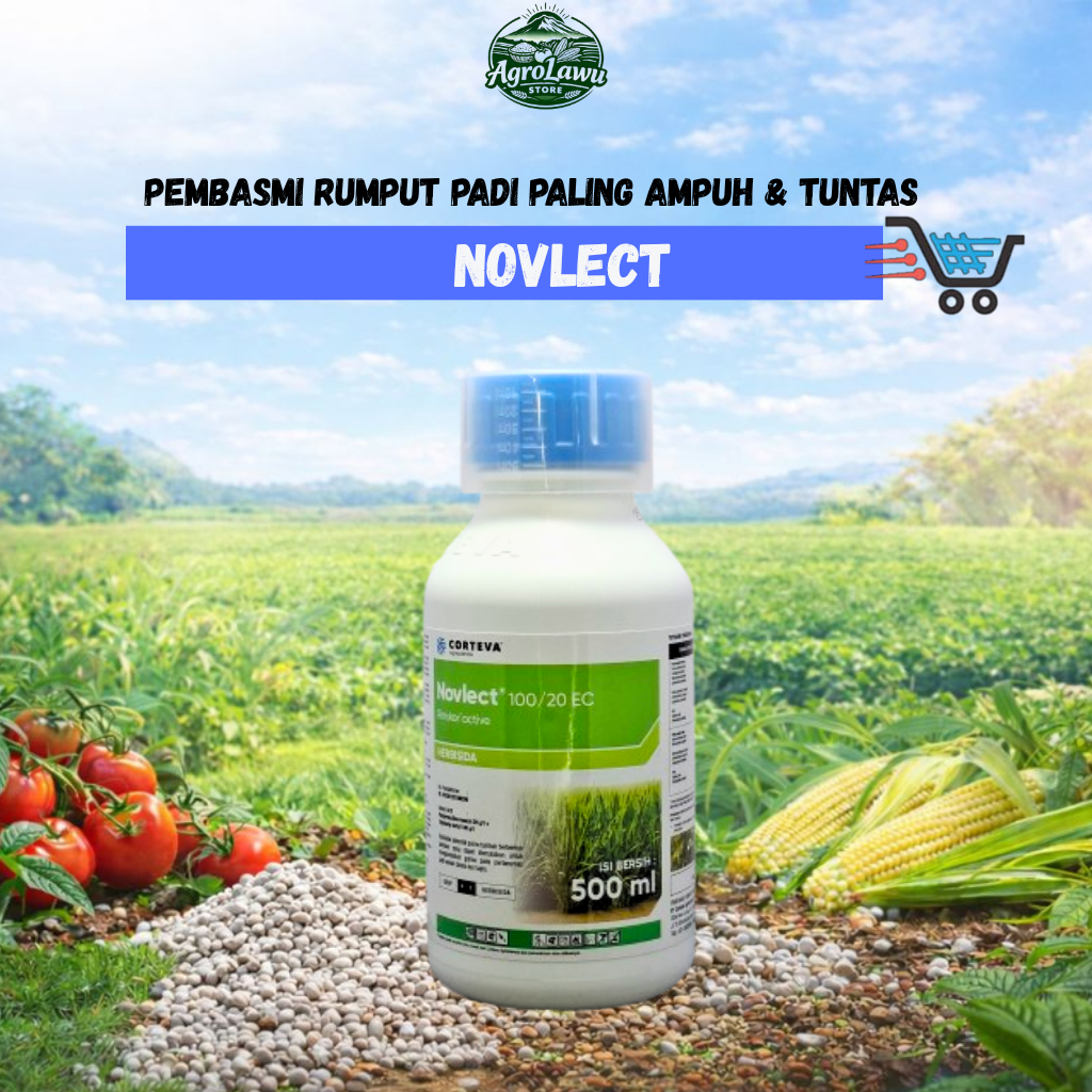 Herbisida NOVLECT 120 EC - Obat Rumput Padi Paling Ampuh & Cepat
