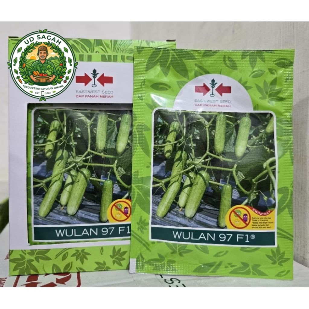 Benih Timun Wulan 97 F1 isi 800 Butir