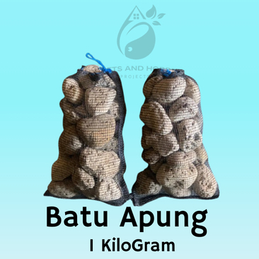 BATU APUNG (PUMICE STONE) MEDIA FILTER