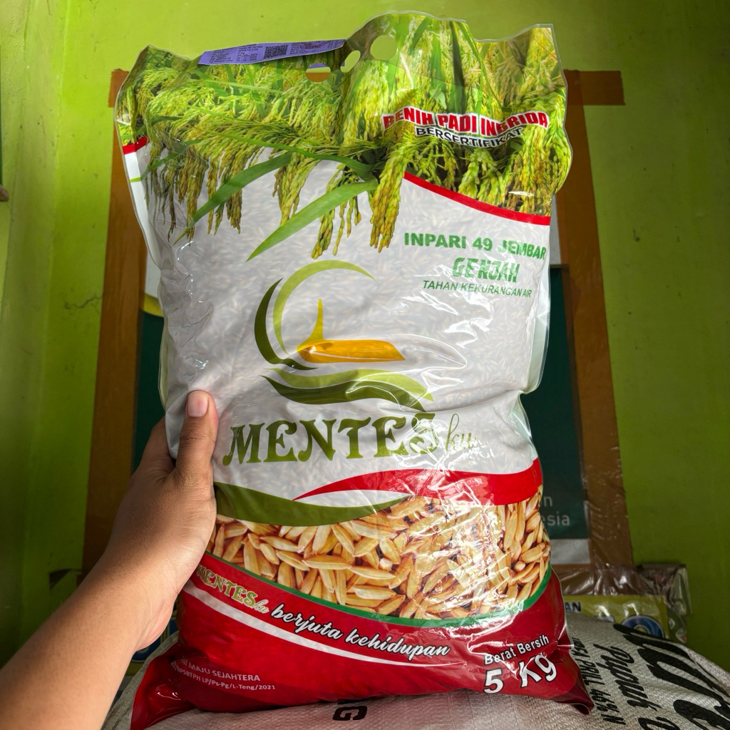 Benih Padi Inpari 49 Genjah Cepat Panen 5 Kg Original | Bibit Padi Unggul Hasil Tinggi Tahan Hama