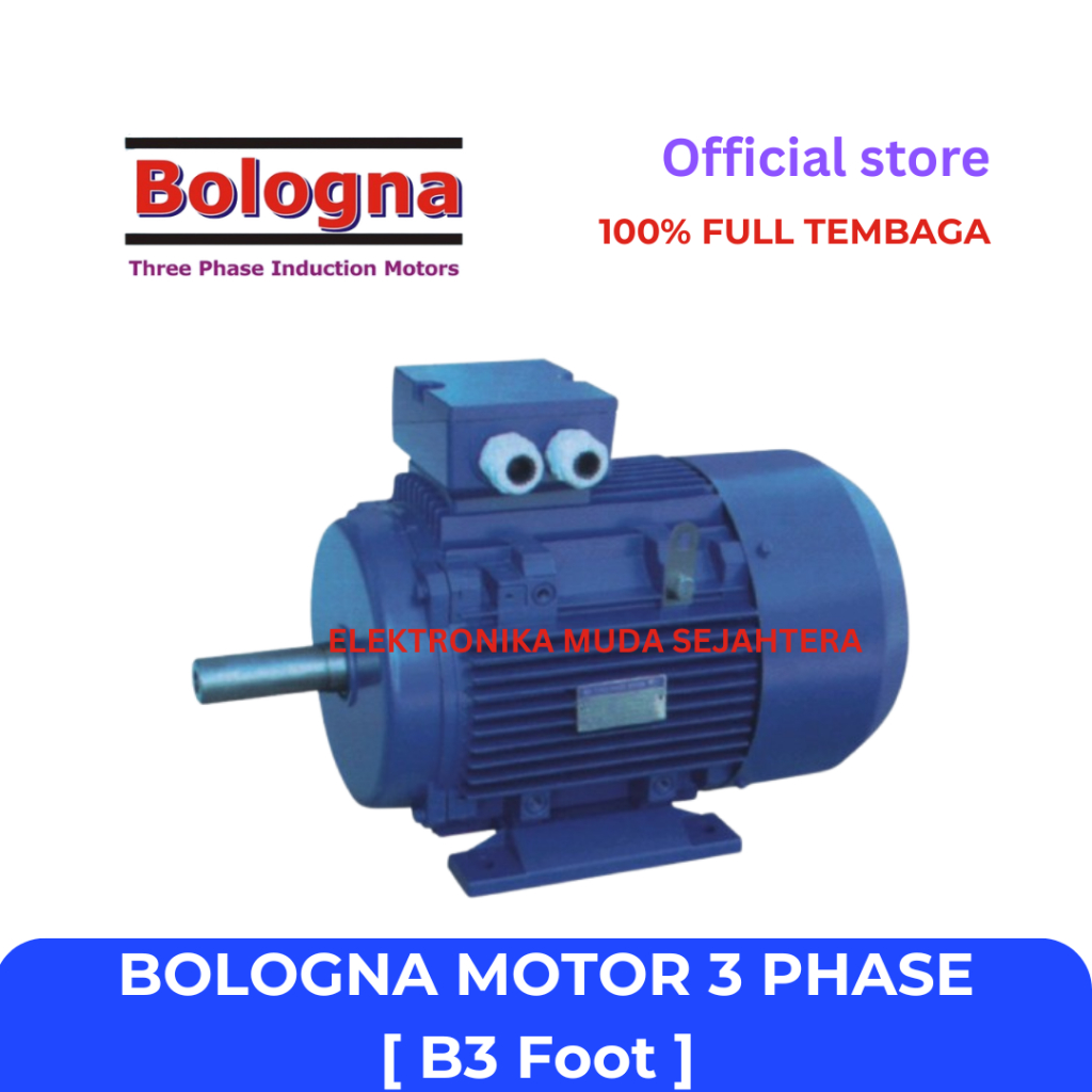 Bologna Dinamo Motor 37kW / 50HP 380V/660V 3 Phase B3 Foot Mounted