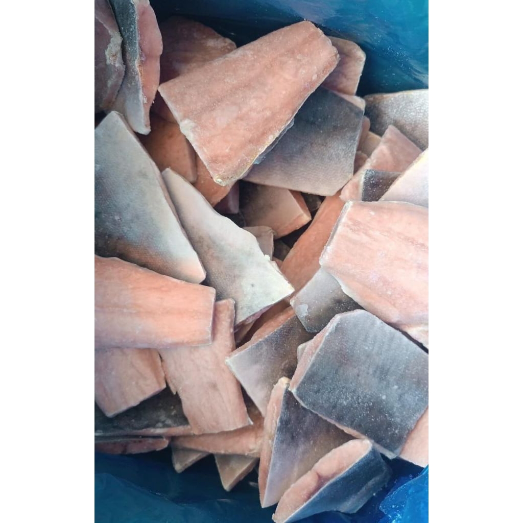 Fillet Ikan salmon / Fillet ikan premium