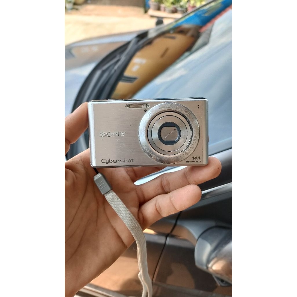 Sony steadyshot dsc-w530