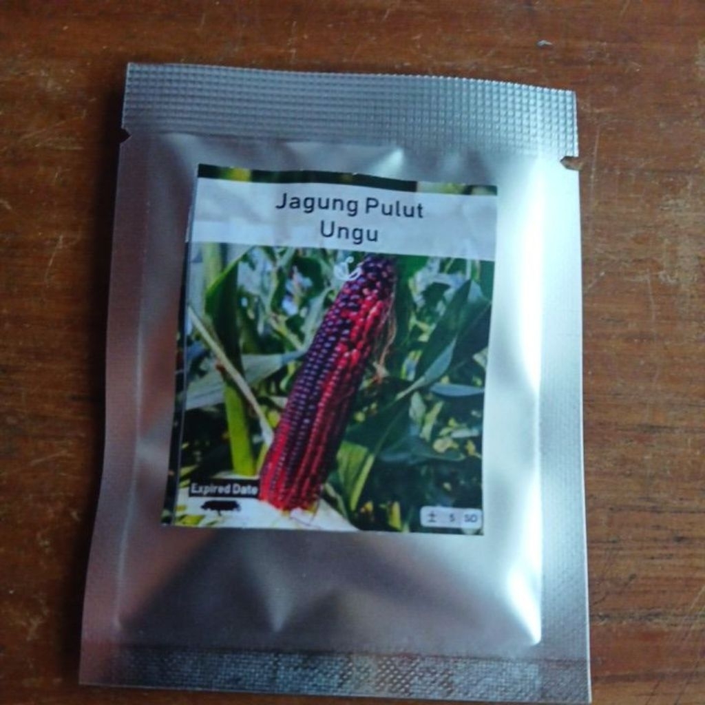 Bibit Benih Jagung Pulut Ungu