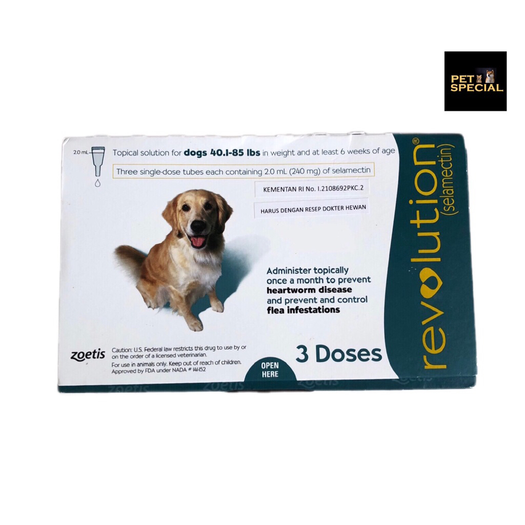 REVOLUTION TEAL DOG - 1 Pipet