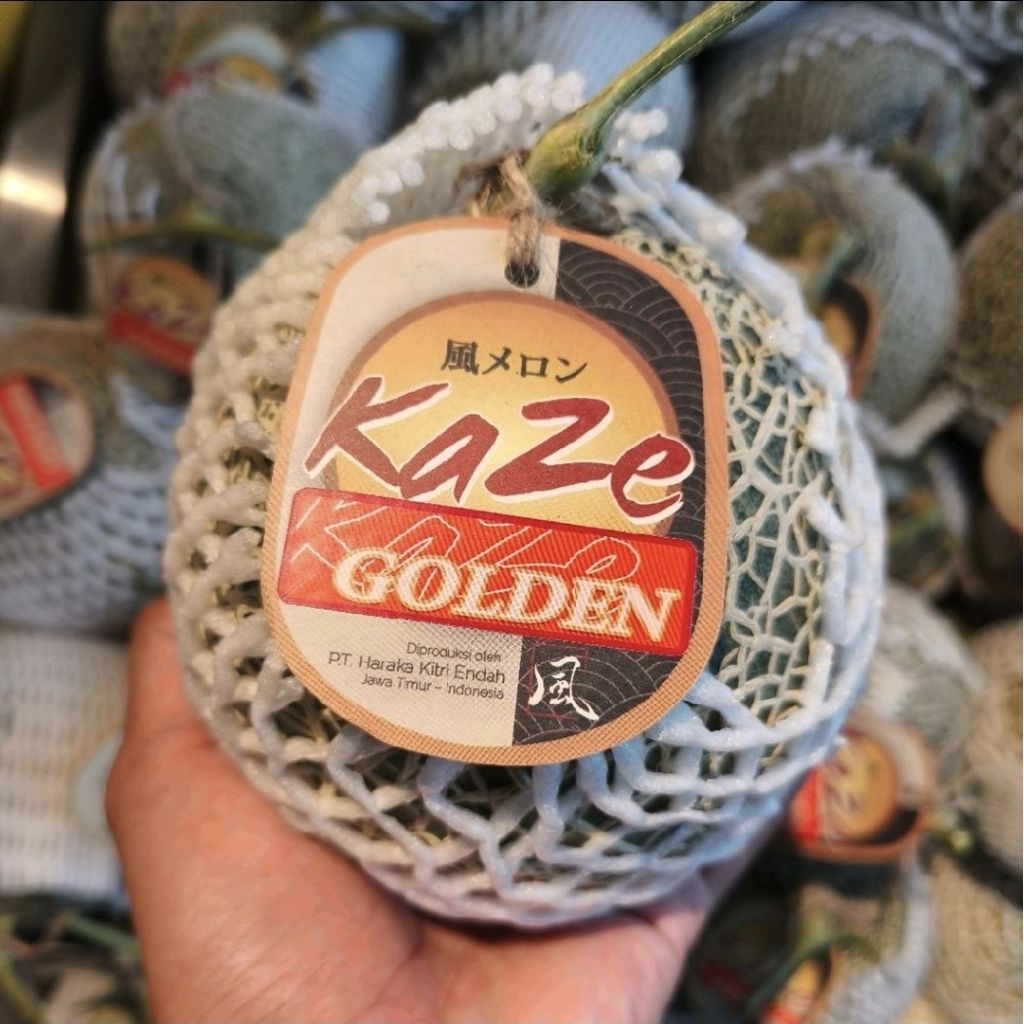 melon golden Kaze Premium melon daging orange fresh / kg