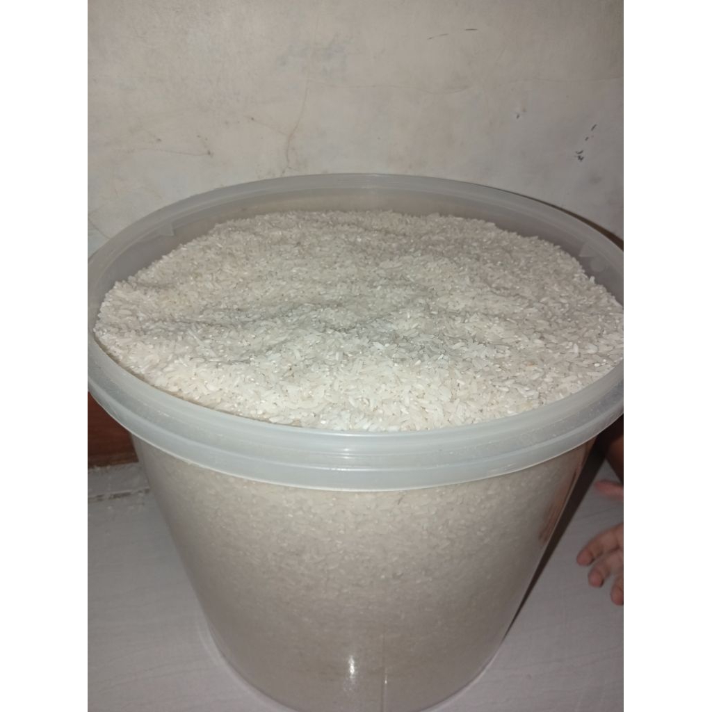BERAS PANEN BERAS PARE ANYAR INDRAMAYU 5 LITER PULEN ENAK