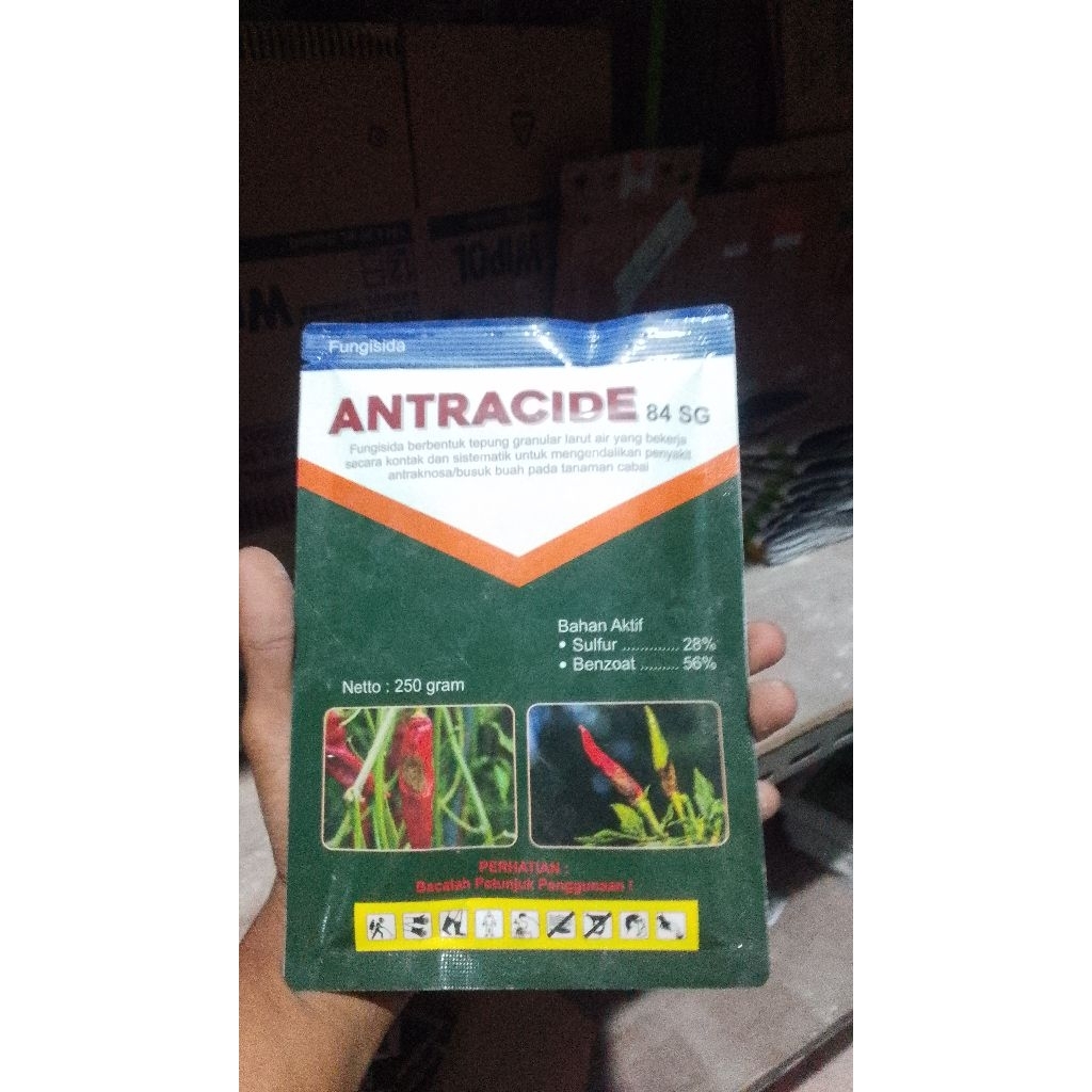 ANTRACIDE 84 SG merupakan fungisida