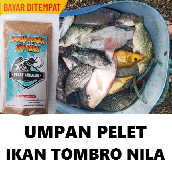 UMPAN PELET IKAN TOMBRO DAN NILA PALING GACOR MAKSIMAL SIAP PAKAI