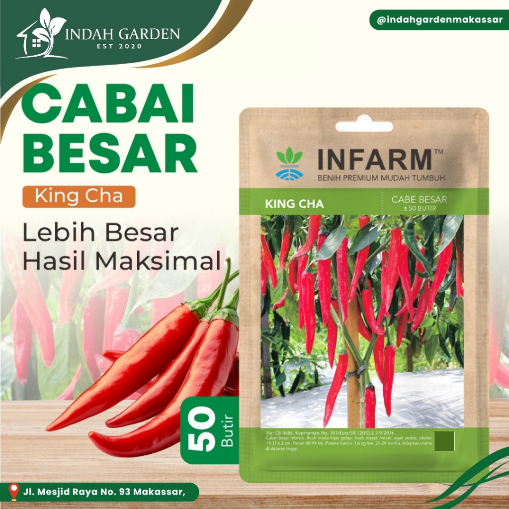 INFARM - Benih Cabai Merah Besar King Cha, Benih Unggul Cabe Merah Besar - Bibit Super Cabe Merah