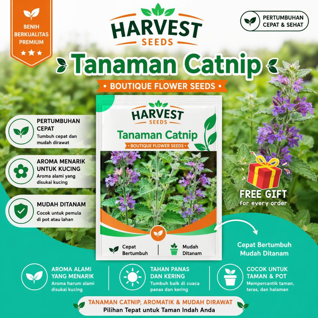 Benih Tanaman Catnip Premium Isi 10 Biji | Catnip Seeds | Tanaman Favorit Kucing Mudah Tumbuh