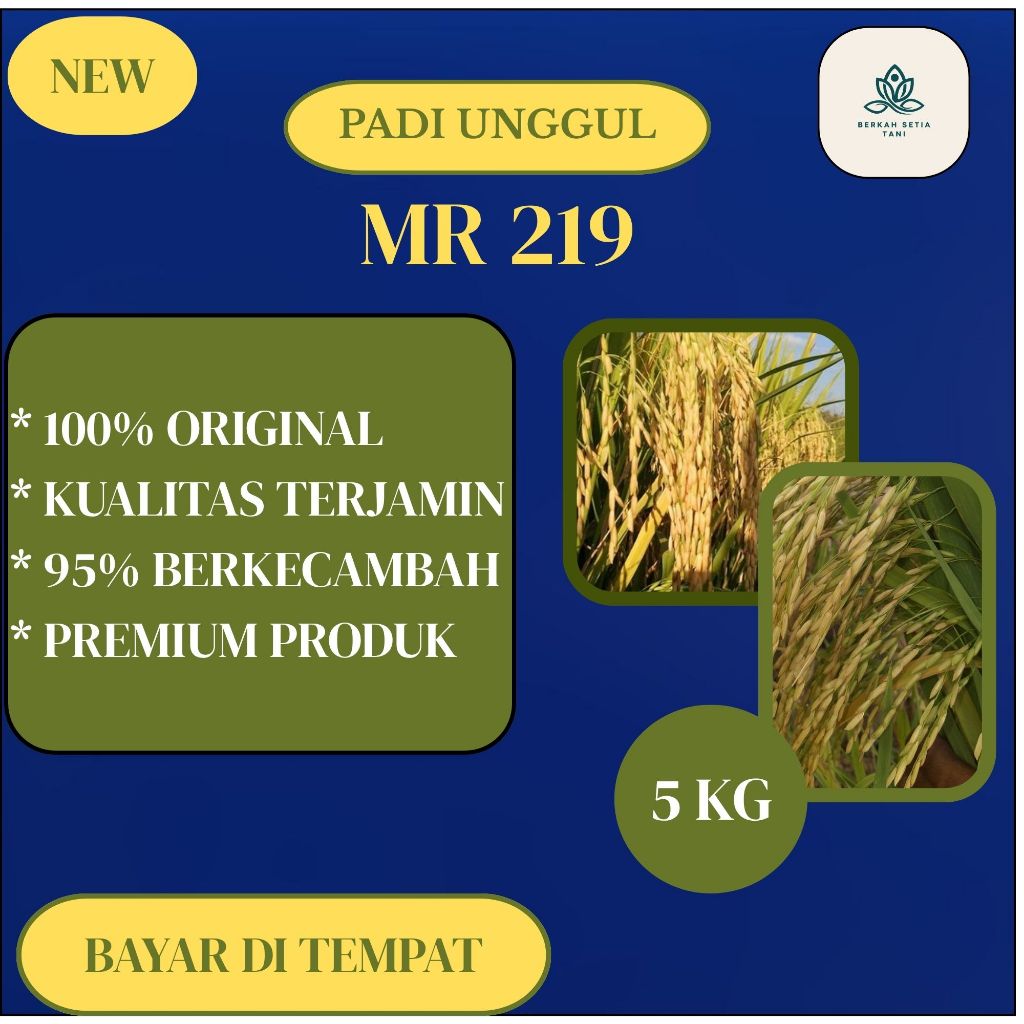 Biji Padi Unggul MR 219 MR219 5KG