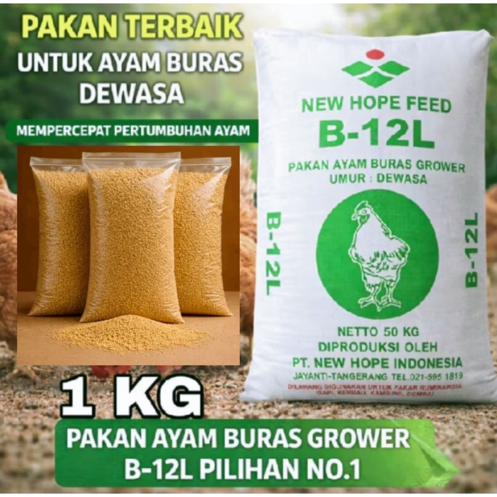 Pakan Ayam B12-L