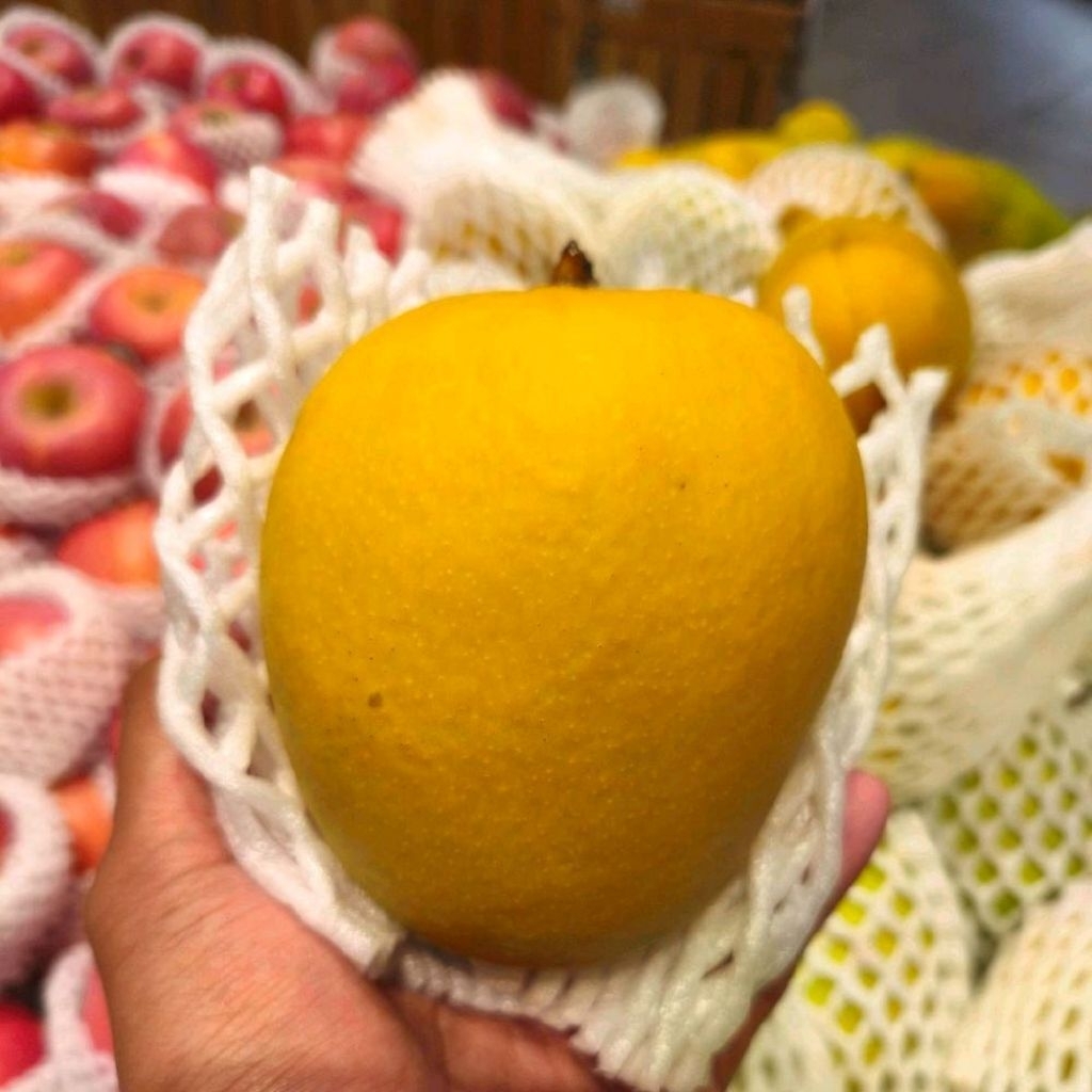 Mangga gedong gincu madu mangga super manis juicy 1 kg