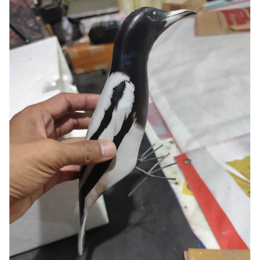 patung burung jagal papua/ jontrot manuk langka mirip asli