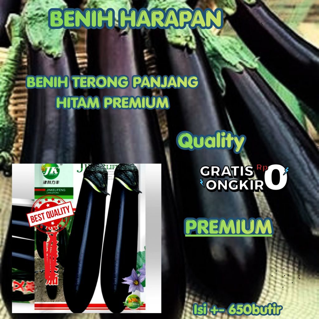 (+-650 butir) benih terong panjang hitam premium