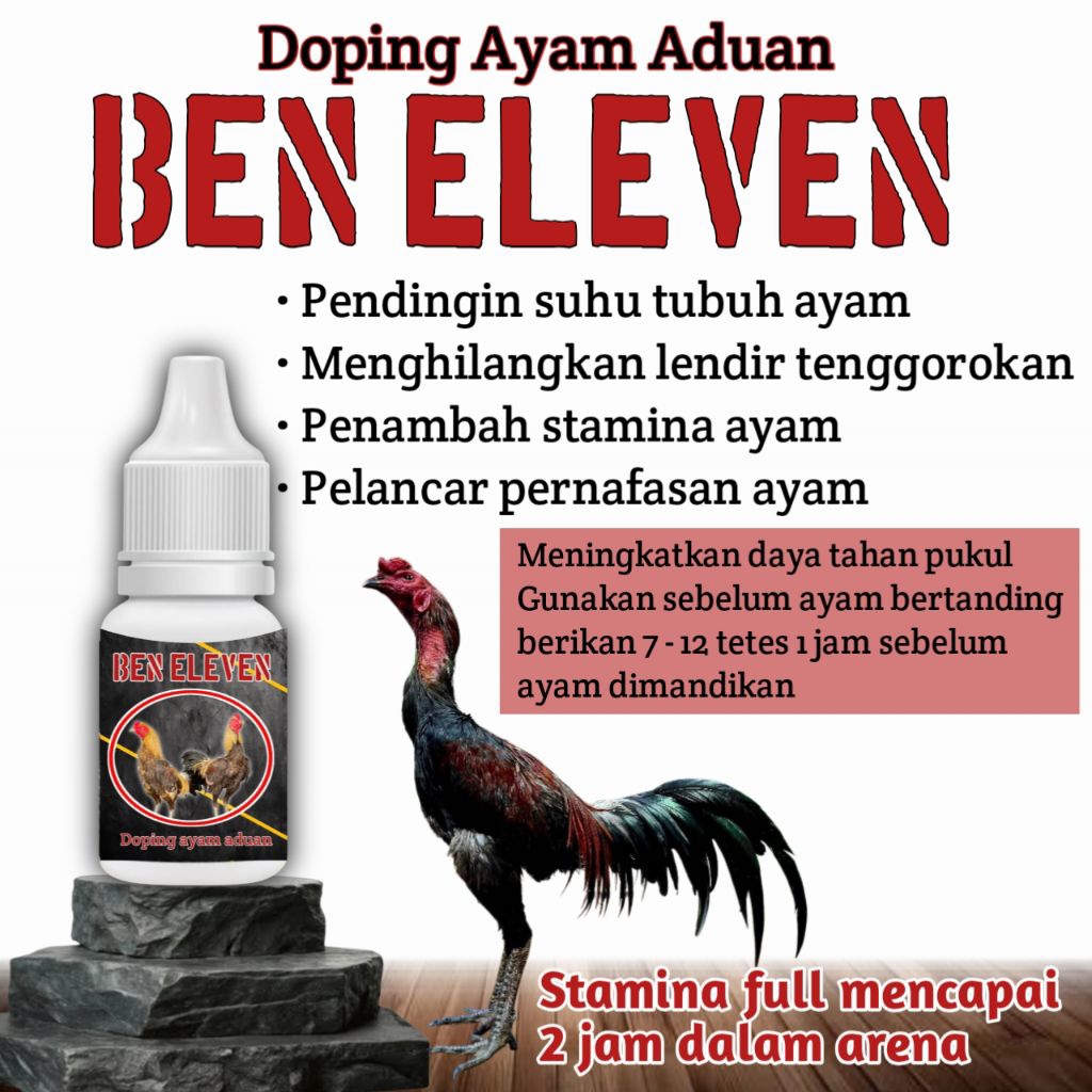 Doping ayam pakhoy drumband