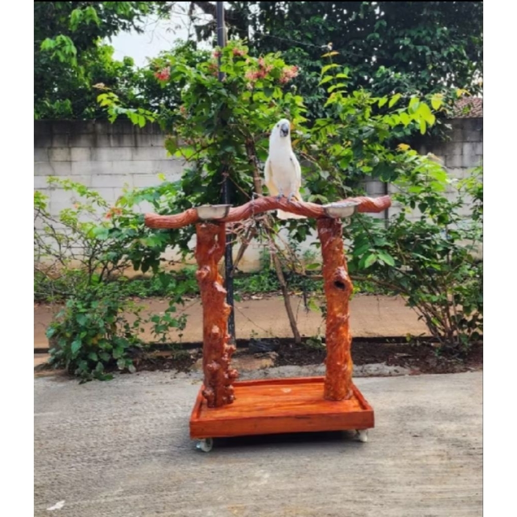 Tangkringan burung unik/tinggi 50cm+baki kayu