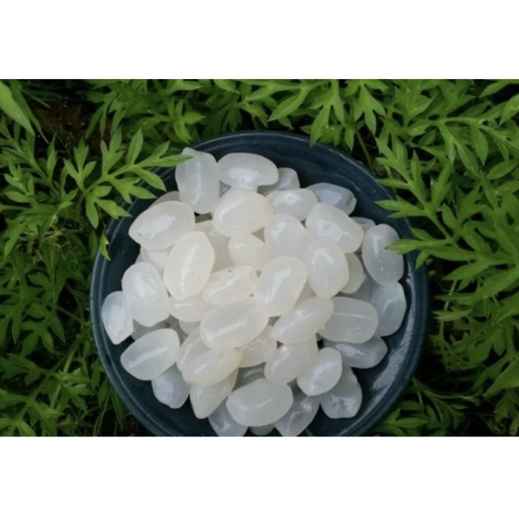 Kolang Kaling segar 1kg / kolang Kaling 1kg fresh