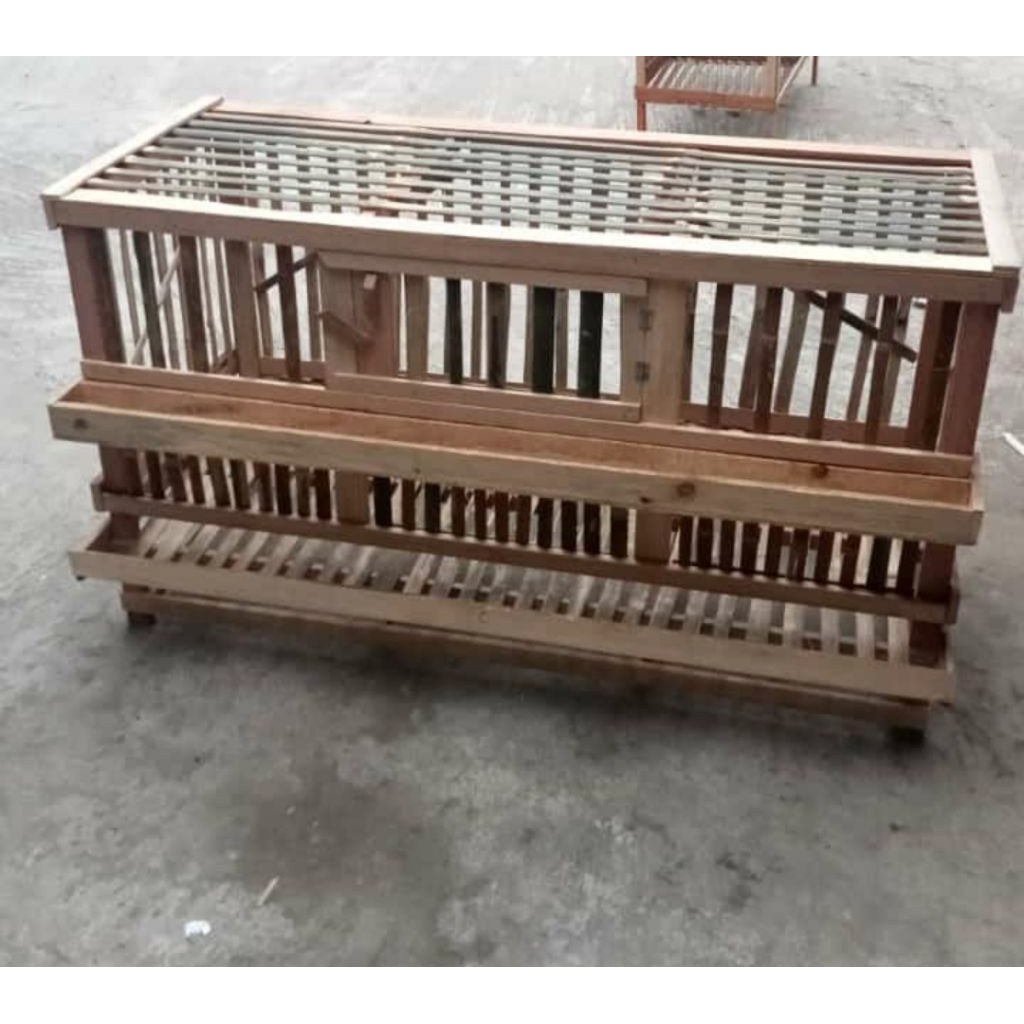 kandang petelur jumbo kandang ayam petelur 120x60x60