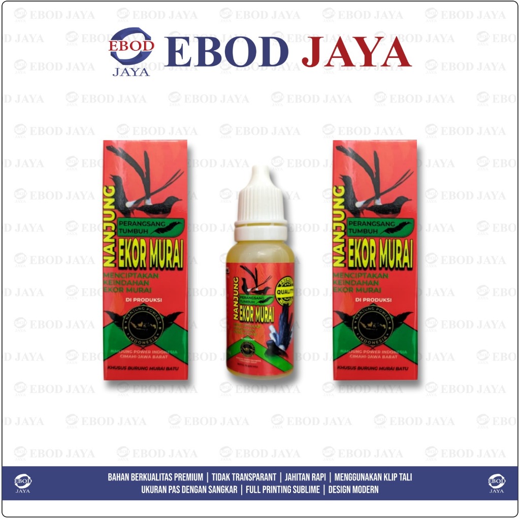 NANJUNG PERANGSANG EKOR MURAI- MENCIPTAKAN KEINDAHAN EKOR MURAI