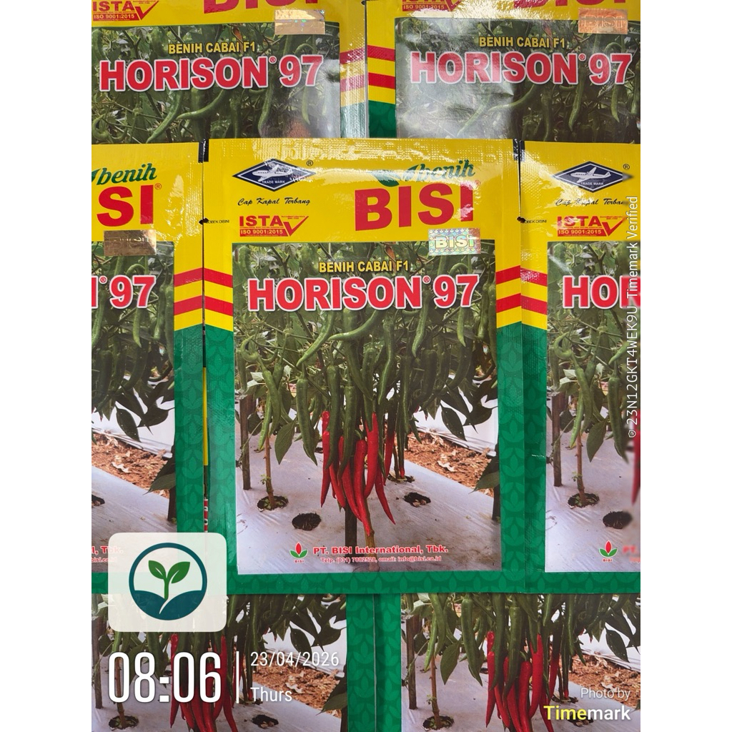 BENIH CABAI F1 HORISON 97 2250 Biji - Exp 2027