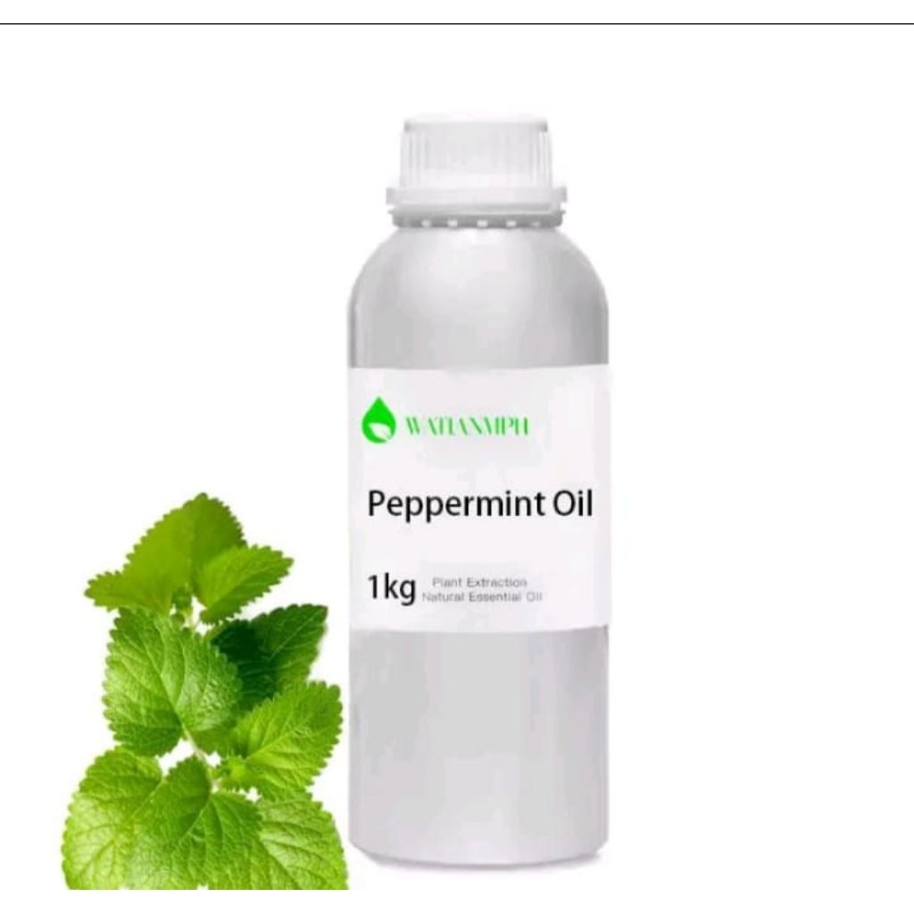 minyak menthol cair papemint esensial oil meredakan nyeri otot cedera nyeri sendi efektif