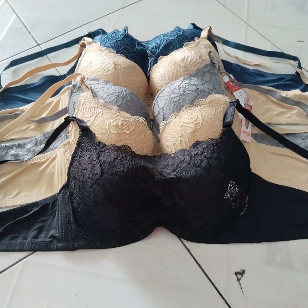 obra bra elena