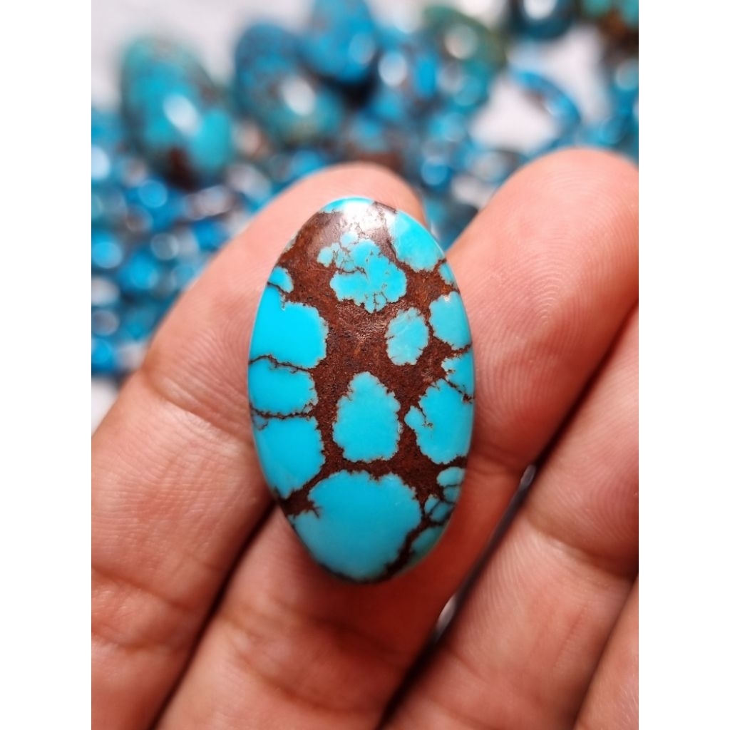 natural pirus mesir ceplok kuro